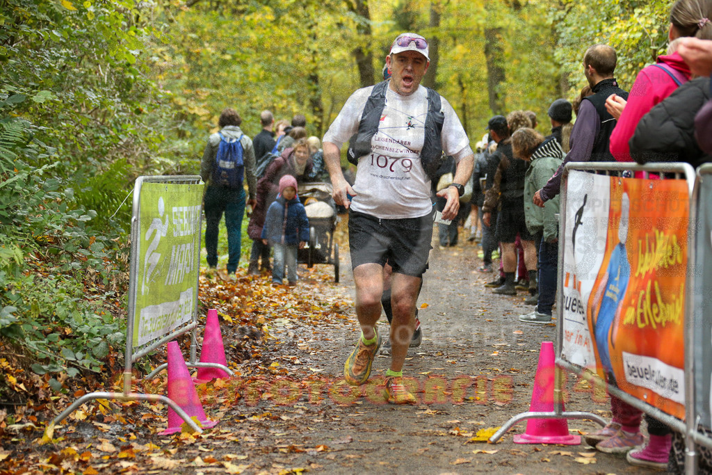 251026_1302_EX1_2297 | Sportfotografie im Rhein-Sieg Kreis, Köln, Bonn, NRW, Rheinland Pfalz, Hessen, etc. Unser Tätigkeitsfeld umfasst den Laufsport vom Volkslauf über den Marathon, Duathlon, Triathon bis zum Ultralauf wie Kölnpfad Ultra oder Schindertrail.