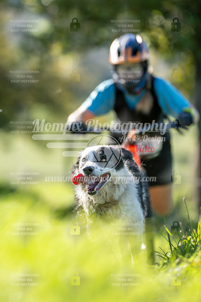 MompixPhotography_20TSB_E3_DS1-92 | PayLife