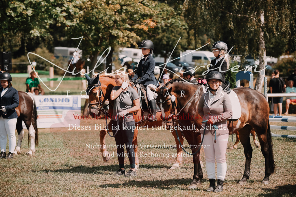DSC_5952 | Pferde- und Turnierfotografie in Westsachsen. Pferdeportraits, Auftragszeichnungen und intuitive Kunst.
