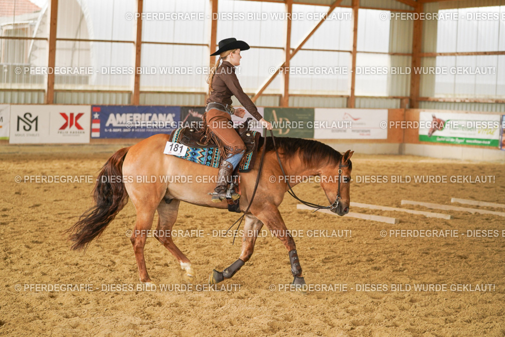 DSC04658 | Pferdegrafie