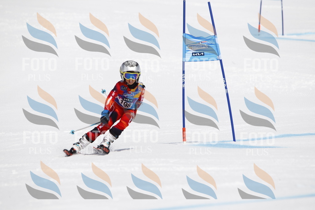 _U3G5156 | holidayphoto