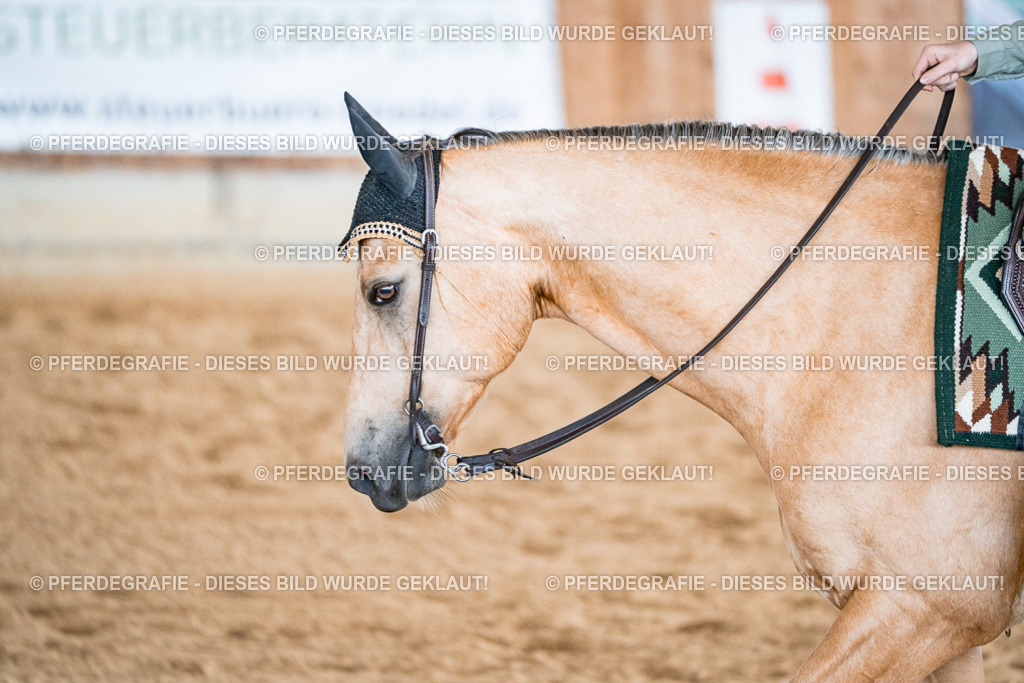 DSC09654 | Pferdegrafie