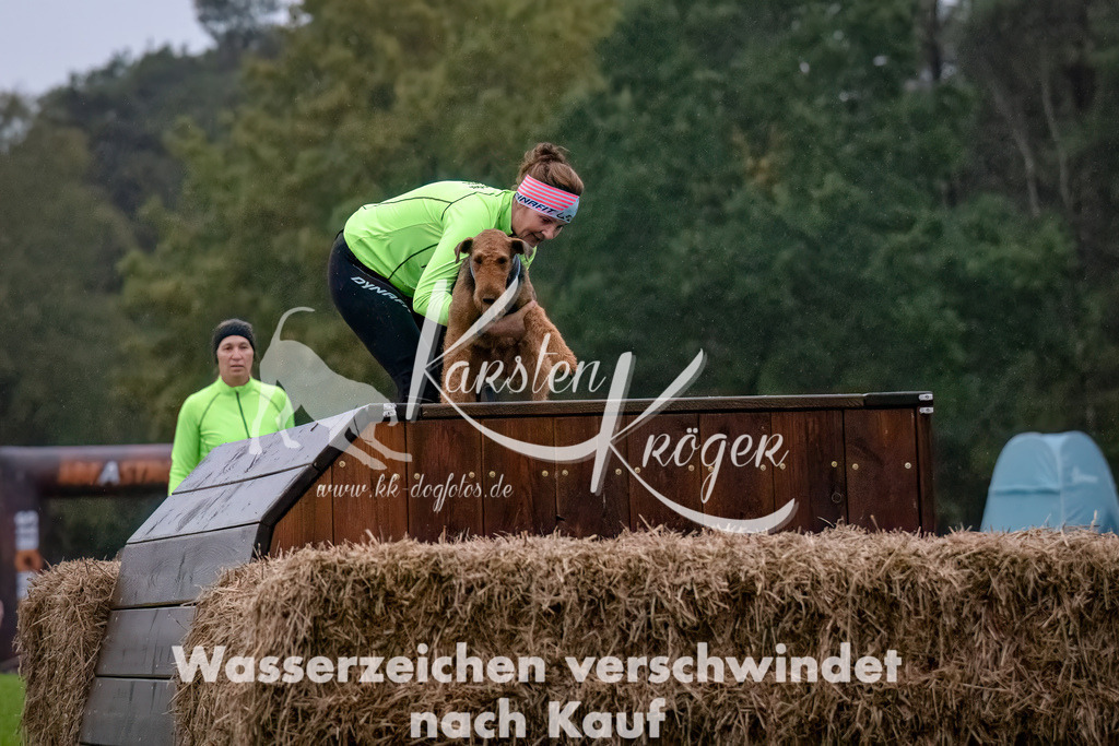 0819-_ZZ91008-Bearbeitet-Bearbeitet | kk-dogfotos