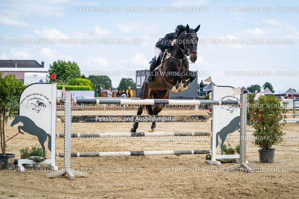 DSC07077 | Pferdegrafie