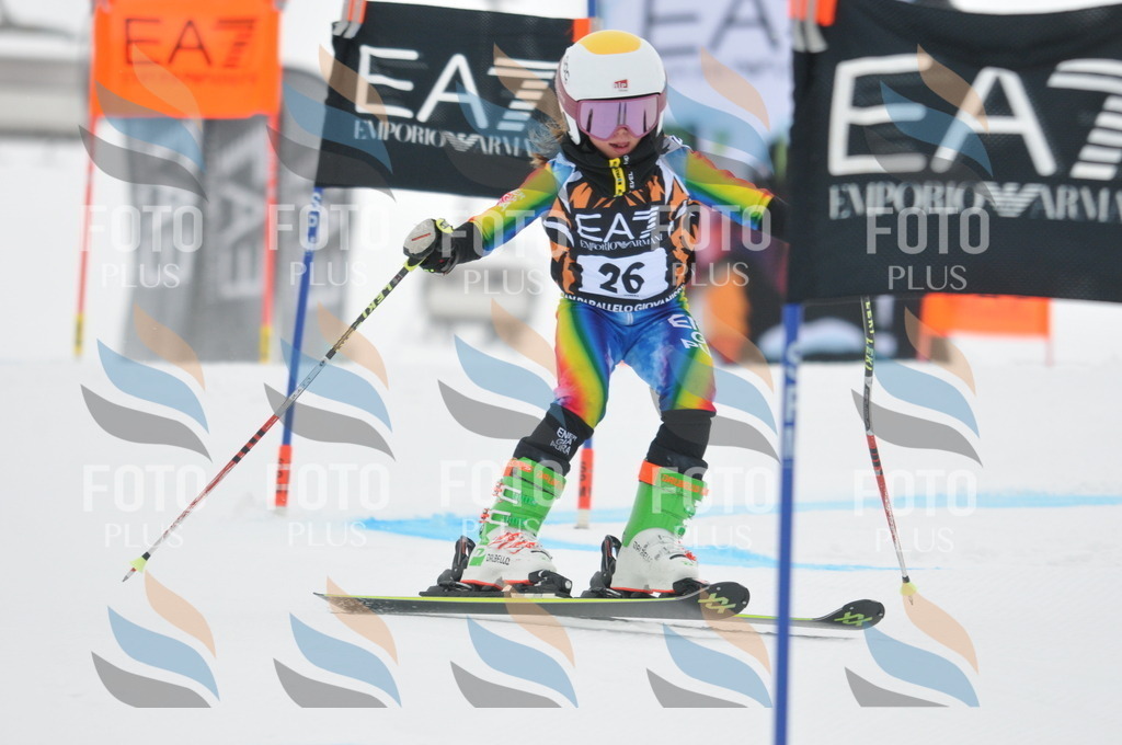 DSC_7514 | holidayphoto