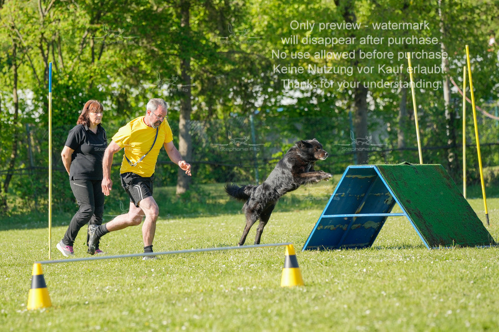 Sa_CSC-590 | stephaniefillaphotographie - Realisiert mit Pictrs.com