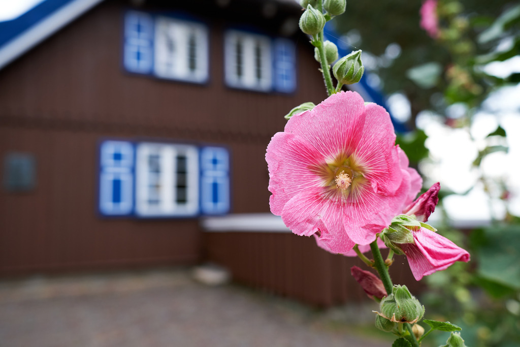 Impressionen vom Thomas Mann Haus | Nida, Litauen - August 16, 2022: Impressionen vom Thomas Mann Haus. - Realisiert mit Pictrs.com