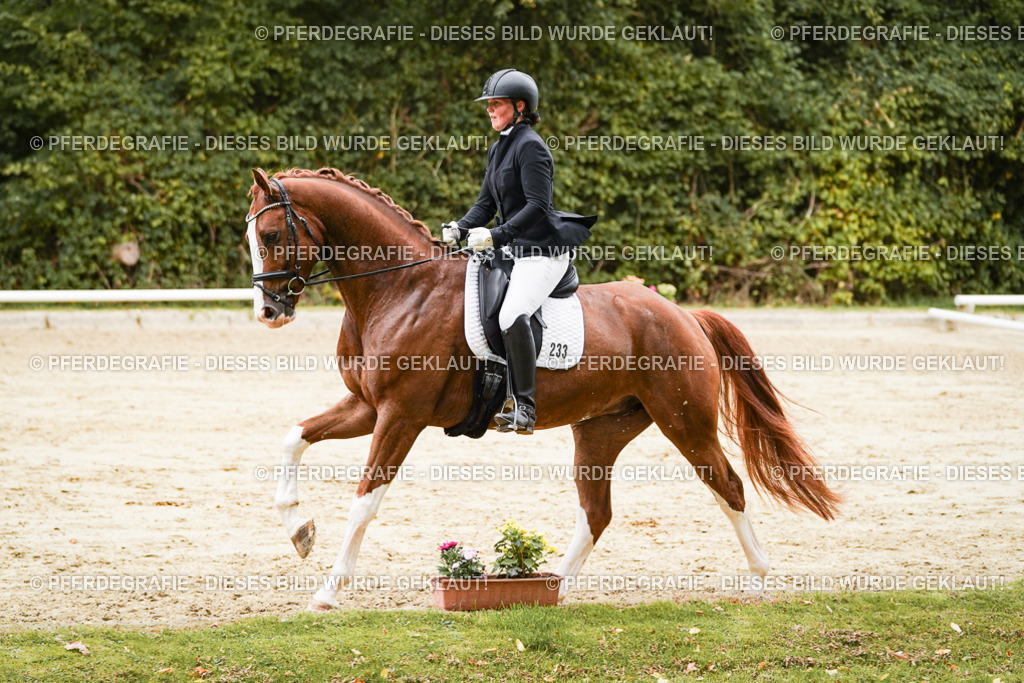 DSC00381 | Pferdegrafie