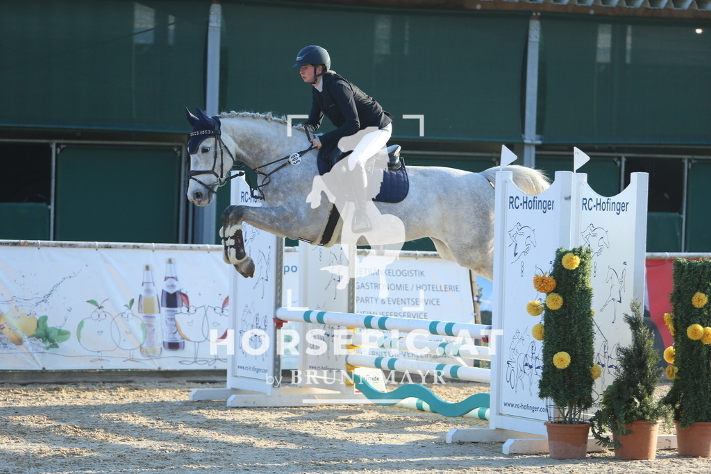 DL2Q7233 | Willkommen bei Brunnmayr - Design & Fotografie – Ihrem Spezialisten für Reitturniere und Pferdeveranstaltungen in Oberösterreich, Salzburg und Bayern! Seit über 17 Jahren sind wir leidenschaftlich dabei.