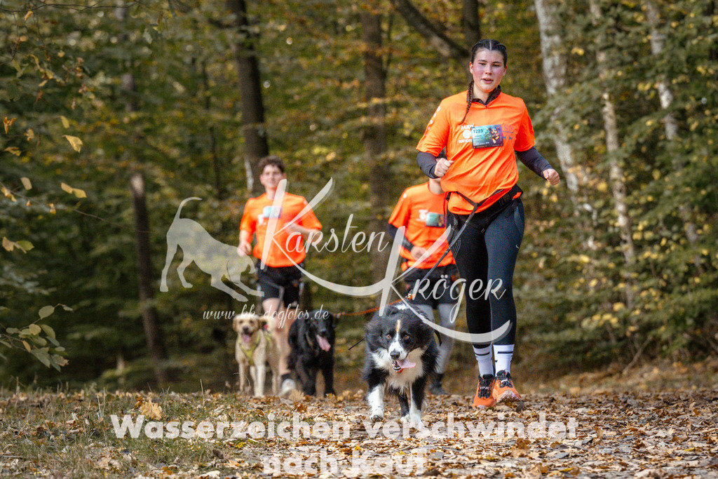 1311_ZZ97610 | kk-dogfotos