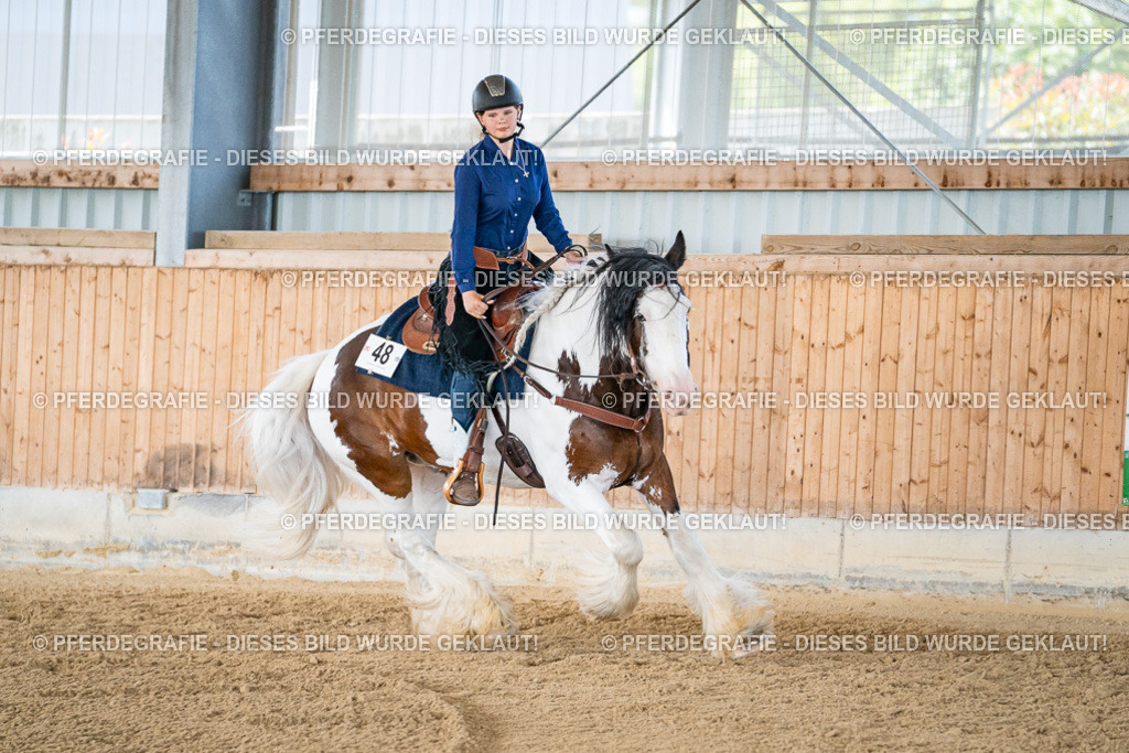 DSC03005 | Pferdegrafie