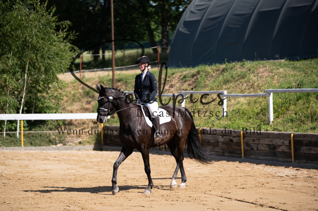 A7V07789 | Turnier/Reitfotograf