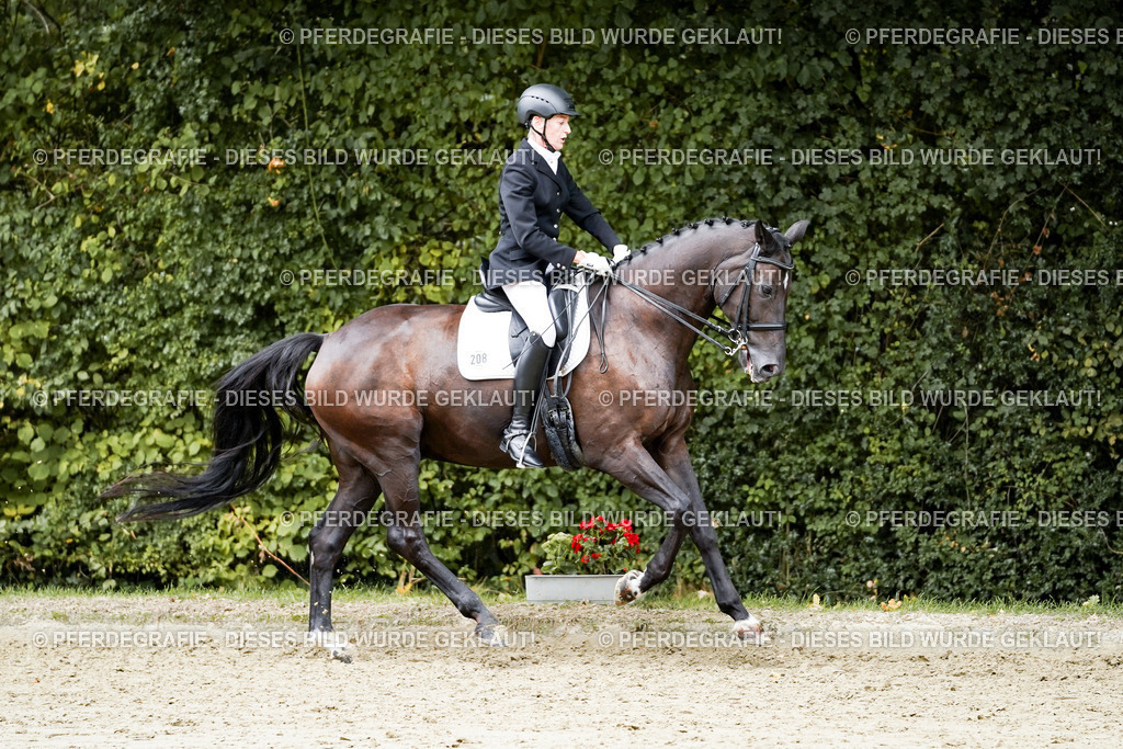 DSC05914 | Pferdegrafie