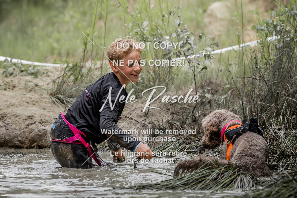 nelerasche_so1515-1530_307 | nelerasche