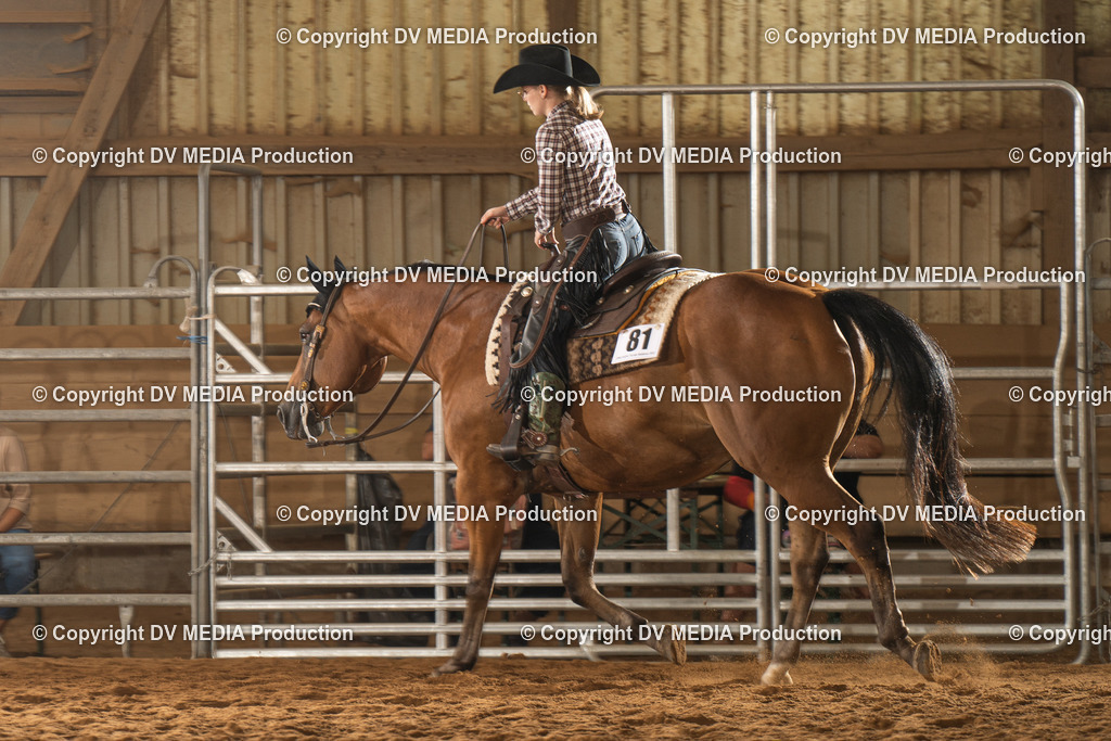 NID01645 | dv-media-shop - Realisiert mit Pictrs.com