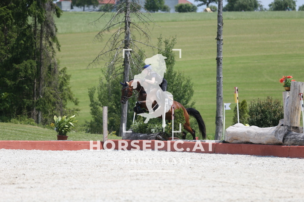 DL2Q2356 | Willkommen bei Brunnmayr - Design & Fotografie – Ihrem Spezialisten für Reitturniere und Pferdeveranstaltungen in Oberösterreich, Salzburg und Bayern! Seit über 17 Jahren sind wir leidenschaftlich dabei.