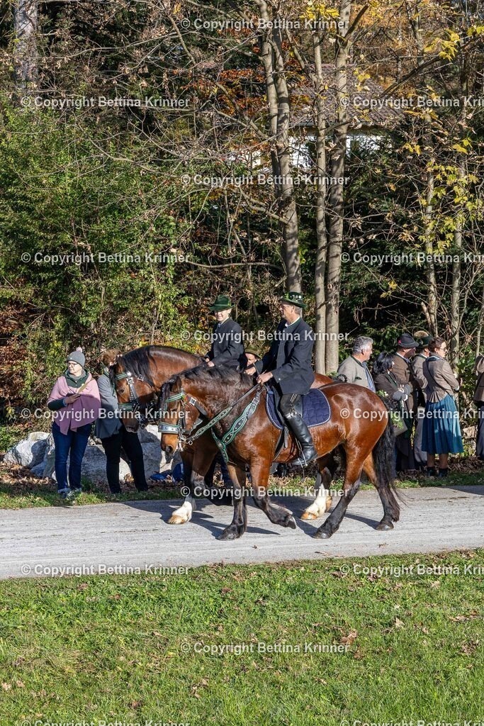 LBT24-761 | foto-bettina-krinner - Realisiert mit Pictrs.com