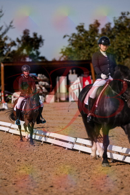 2026_10_03_Siefer-Hof_120731_Z81_09593100 | Professionelle Reitsport-, Turnier- und Eventfotografie von Robert Broda. Galerien mit ausgewählten und bearbeiteten Bildern direkt online ansehen und bestellen.