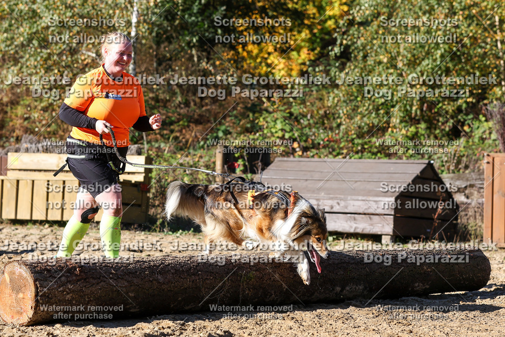 Dog Paparazzi - Strongdog 10-25-2607 | Dog Paparazzi Jeanette Grottendiek Fotografie & Videografie - Realisiert mit Pictrs.com