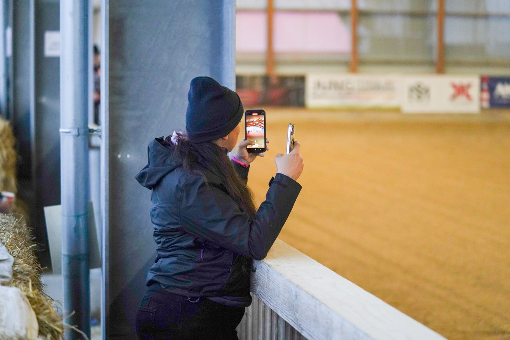 DSC08391 | Pferdegrafie