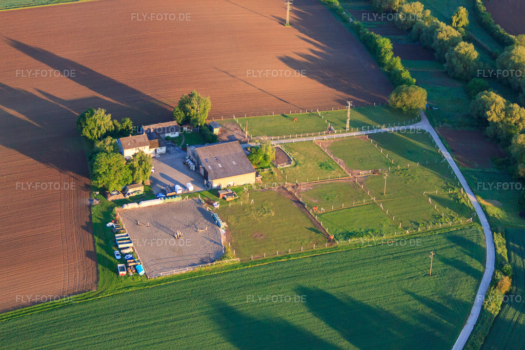 Luftbild: Pferdekoppeln um den Birkenhof in Impflingen im Bundesland Rheinland-Pfalz in Deutschland.Foto: IMG_64555.jpg vom 04.05.2014 durch Werner Riehm/FLY-FOTO.deAuflösung des Originals: 4752 x 3168 px