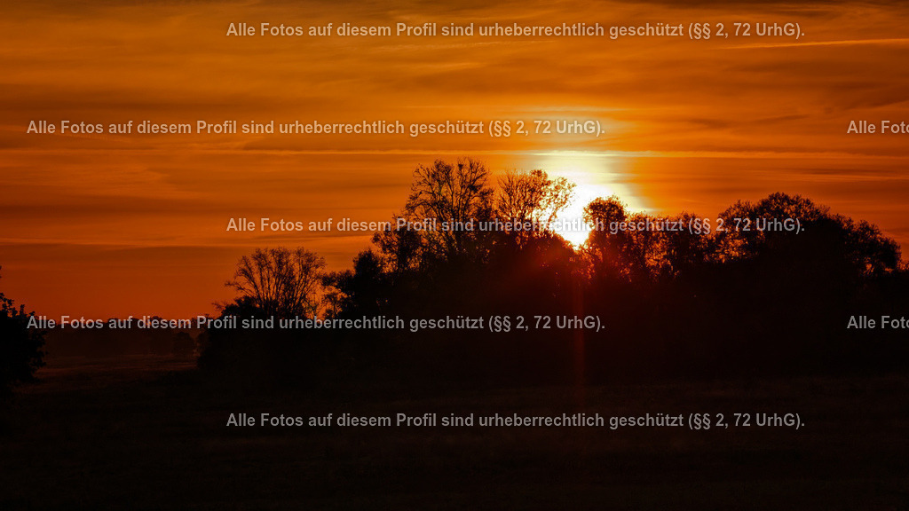PXL_20241016_055239932 | krollfotografie - Realisiert mit Pictrs.com