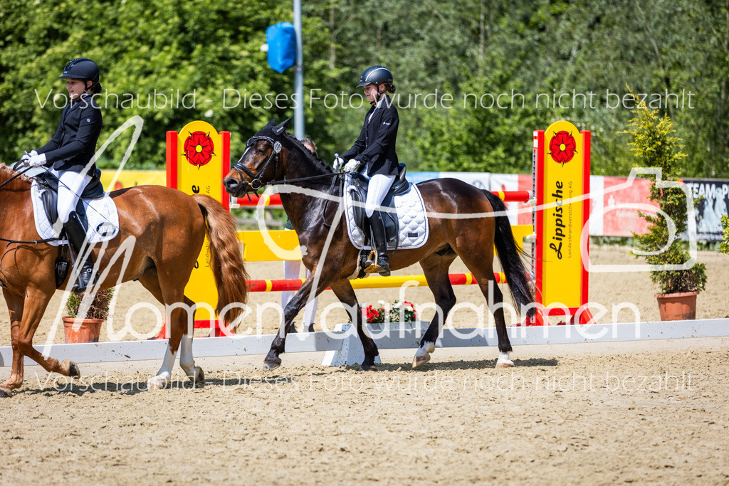 Donop24-RWB-005 | MomenTaufnahmen Pferdesportfotos