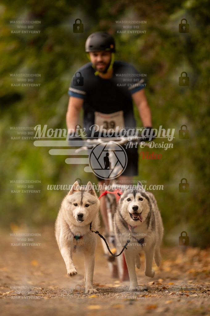 CDLBDB_14_10_2023_Samedi-55 | PayLife
