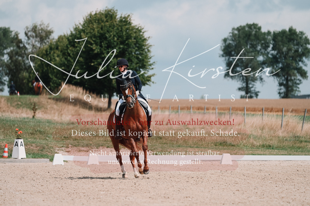DSC_3818 | Pferde- und Turnierfotografie in Westsachsen. Pferdeportraits, Auftragszeichnungen und intuitive Kunst.