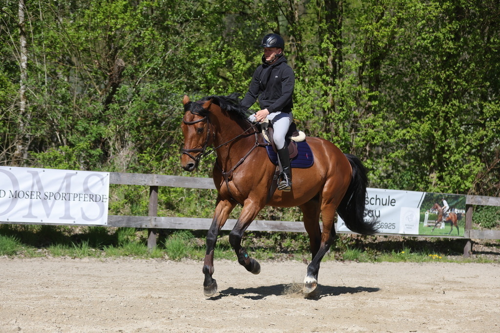 0P6A8110 | Willkommen bei Brunnmayr - Design & Fotografie – Ihrem Spezialisten für Reitturniere und Pferdeveranstaltungen in Oberösterreich, Salzburg und Bayern! Seit über 17 Jahren sind wir leidenschaftlich dabei.