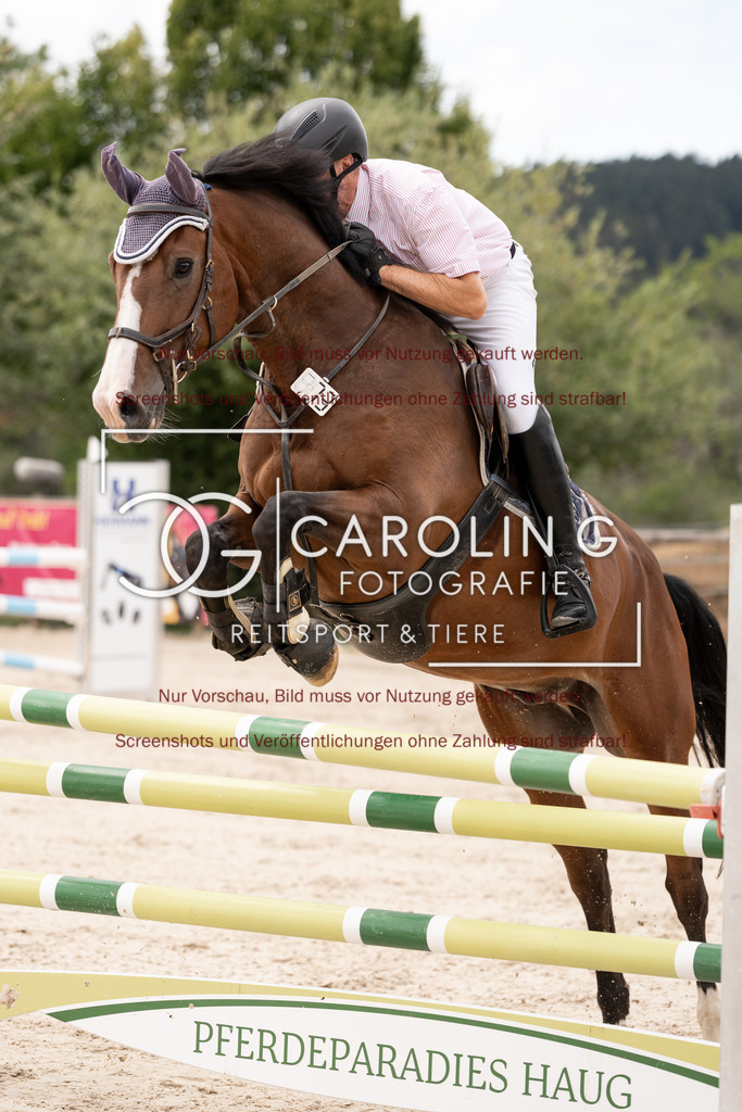 DSC06494 | Springturnier_Teamchallege_Talheim_2026, Andreas_Wittlinger, Charlie_Brown_148