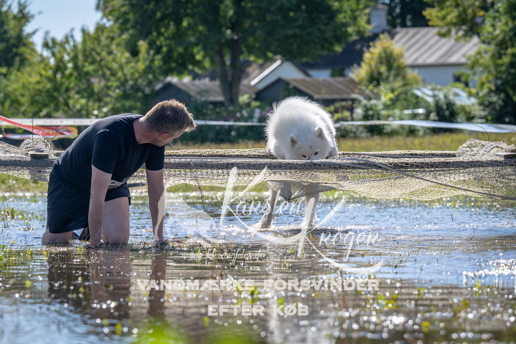 1253_ZZ90502 | kk-dogfotos