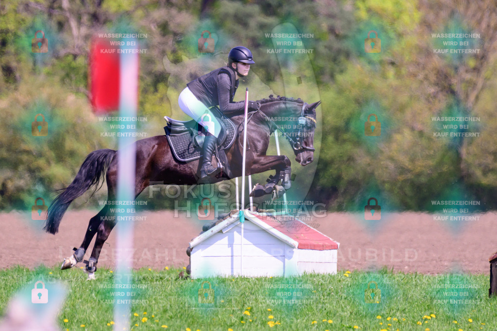 18042026-Gernlinden-01-1-0521 | Fokus Hufschlag Fotografie - Realisiert mit Pictrs.com