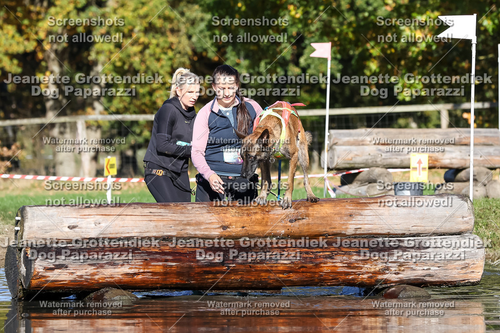 Dog Paparazzi - Strongdog 10-25-8933 | Dog Paparazzi Jeanette Grottendiek Fotografie & Videografie - Realisiert mit Pictrs.com