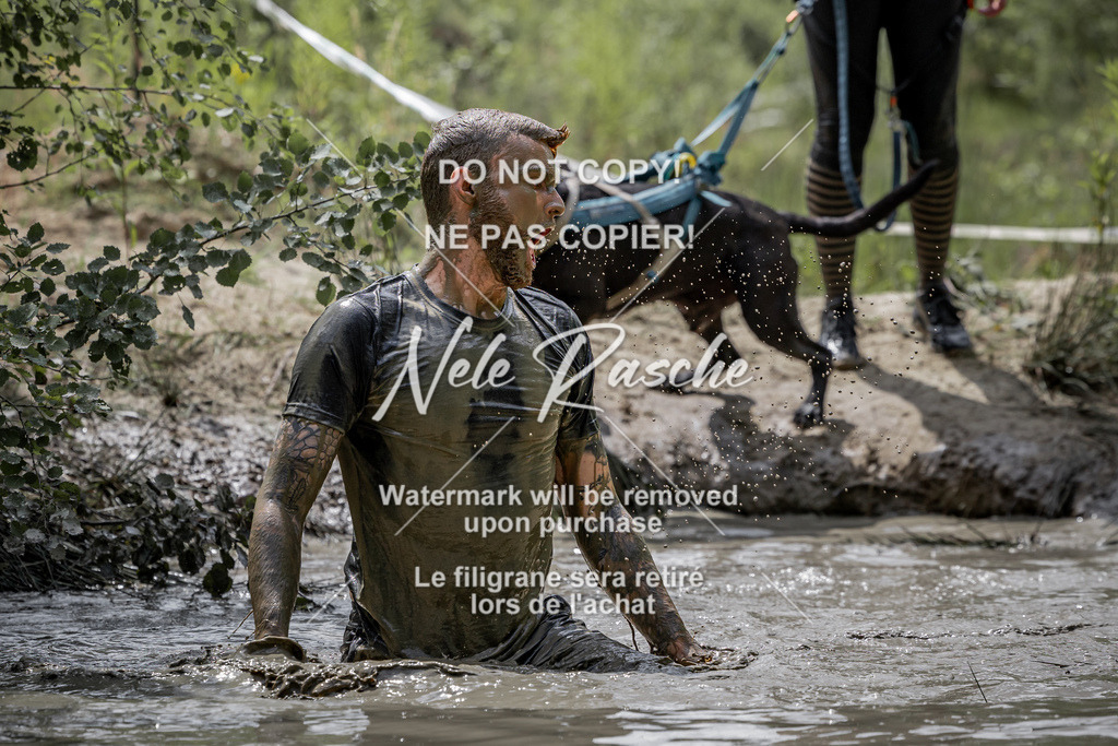 nelerasche_so1145-1230_267 | nelerasche