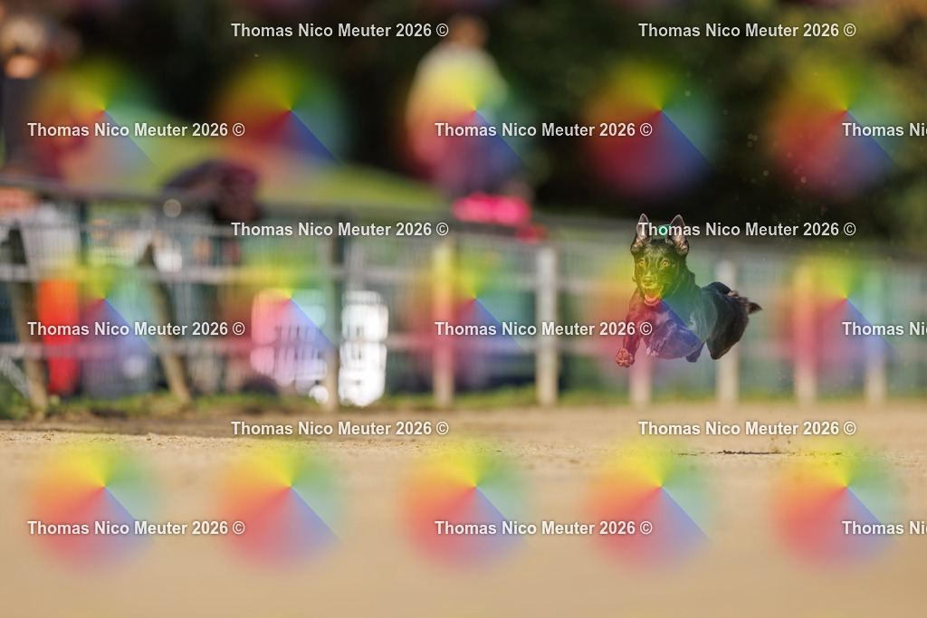 Thomas_Nico_Meuter(C)_03. Oktober 2026_223A4490 | Bild von Thomas Nico Meuter - Realisiert mit Pictrs.com