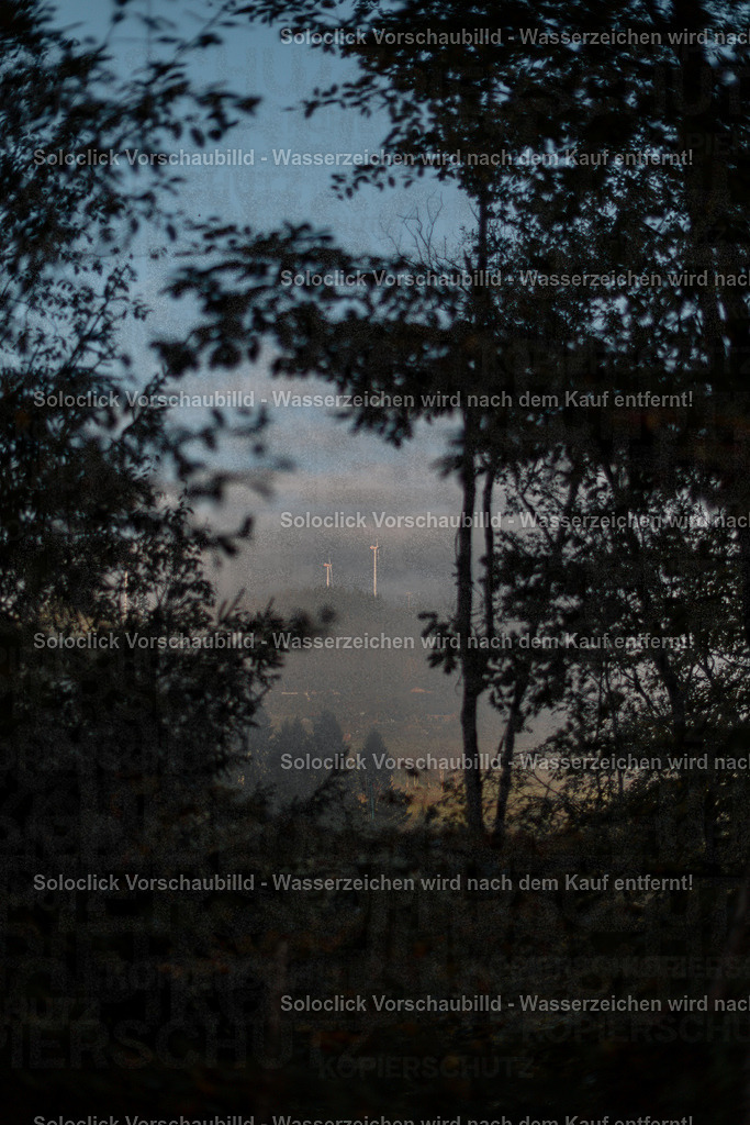 renaldo23_gravity-cup_kgl26__0018 | soloclick - Realisiert mit Pictrs.com