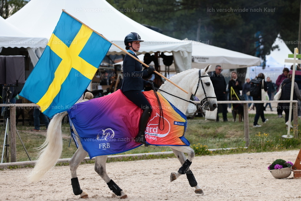 PI26_ST_StoibphotographyC2_L9297.JPG | working equitationturnier fotograf videograf stoibphotography marixx film working equitation deutschland reitsport turnierfotografie eventfotografie equestrian events