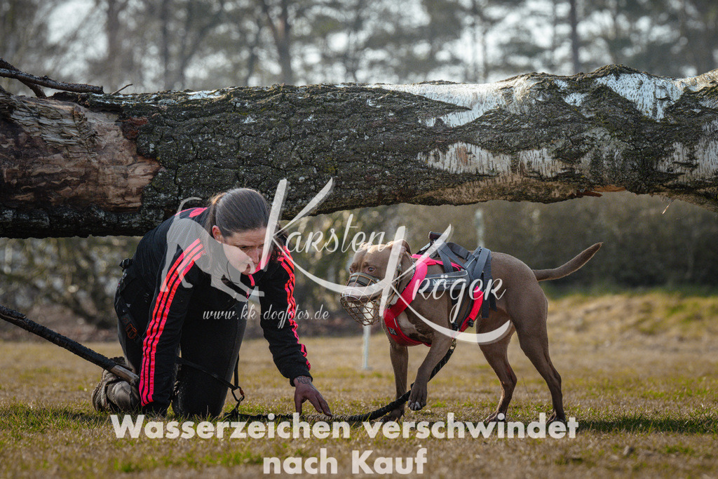 0947_ZZ90030 | kk-dogfotos