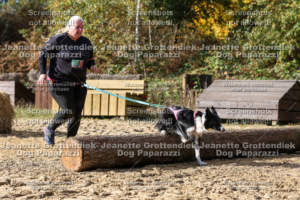 Dog Paparazzi - Strongdog 10-25-5357 | Dog Paparazzi Jeanette Grottendiek Fotografie & Videografie - Realisiert mit Pictrs.com