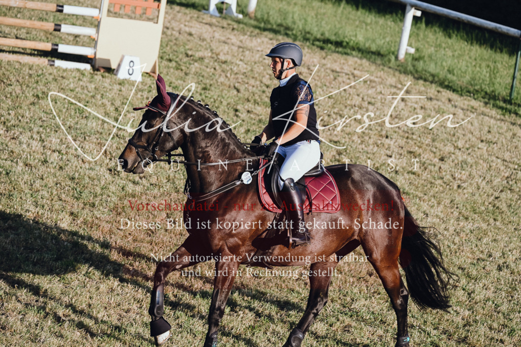 DSC_3245 | Pferde- und Turnierfotografie in Westsachsen. Pferdeportraits, Auftragszeichnungen und intuitive Kunst.