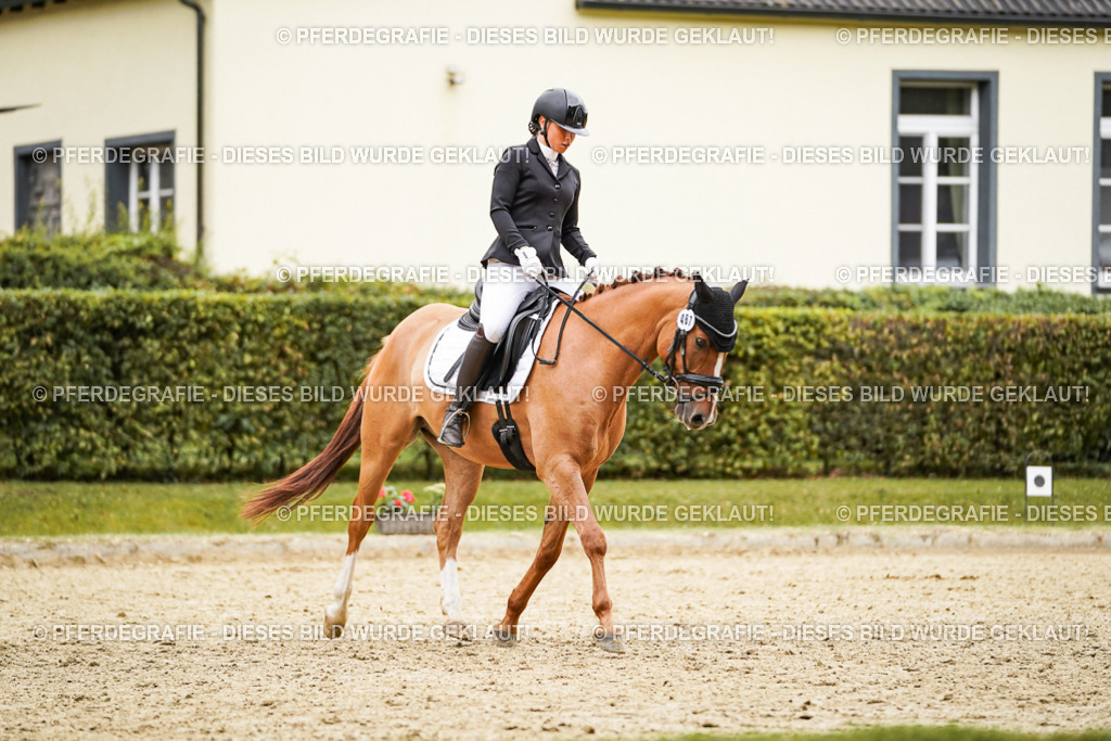 DSC08137 | Pferdegrafie