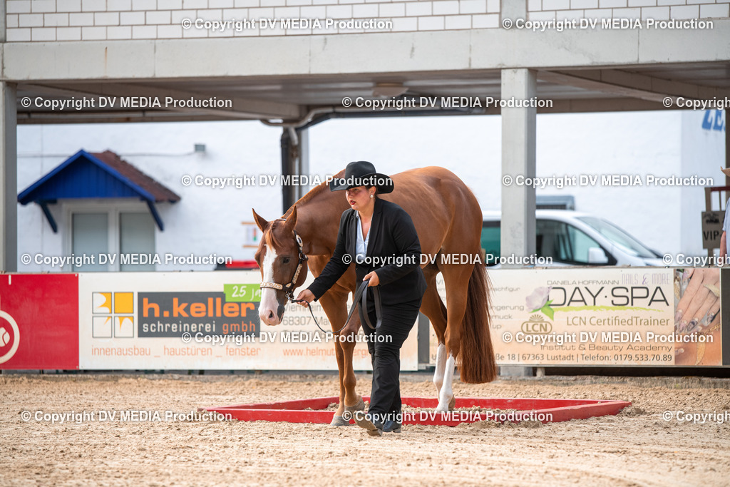 EWP_5559 | dv-media-shop - Realisiert mit Pictrs.com