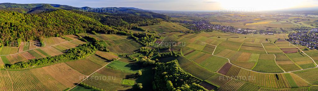 Vue aérienne: Panorama - Perspective sur le paysage viticole de la région de Sonnenberg à Wissembourg dans le département Bas Rhin, France – .Photo: IMG_107012-Pano.jpg prise le 27/04/2018 par Werner Riehm/FLY-FOTO.eu – Résolution de l'original: 10268 x 2958 px
