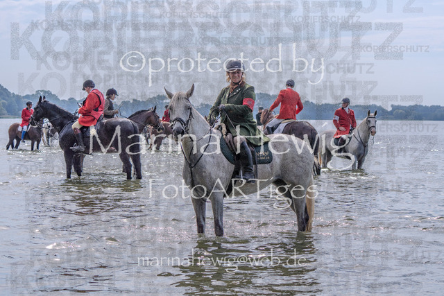 Jagd Perdoel_MarinaHewig_MCH7952 | Fotografie, FotoArt, PferdesportArt, Pferdesportfotografie, Landschaftsfotografie, Reisefotografie, Reise, Pferde - Realisiert mit Pictrs.com