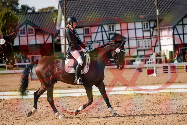 2026_10_03_Siefer-Hof_132117_Z63_82420498 | Professionelle Reitsport-, Turnier- und Eventfotografie von Robert Broda. Galerien mit ausgewählten und bearbeiteten Bildern direkt online ansehen und bestellen.