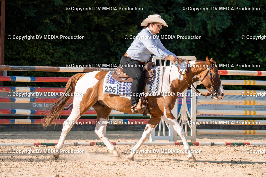 ZH100830 | dv-media-shop - Realisiert mit Pictrs.com