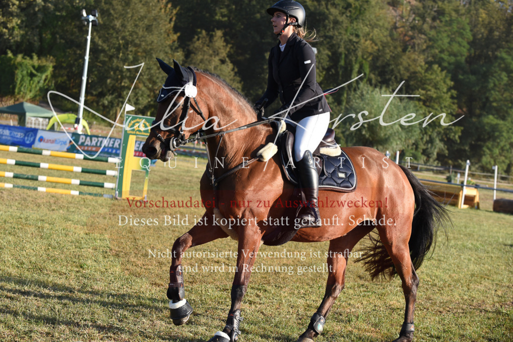 DSC_4862 | Pferde- und Turnierfotografie in Westsachsen. Pferdeportraits, Auftragszeichnungen und intuitive Kunst.
