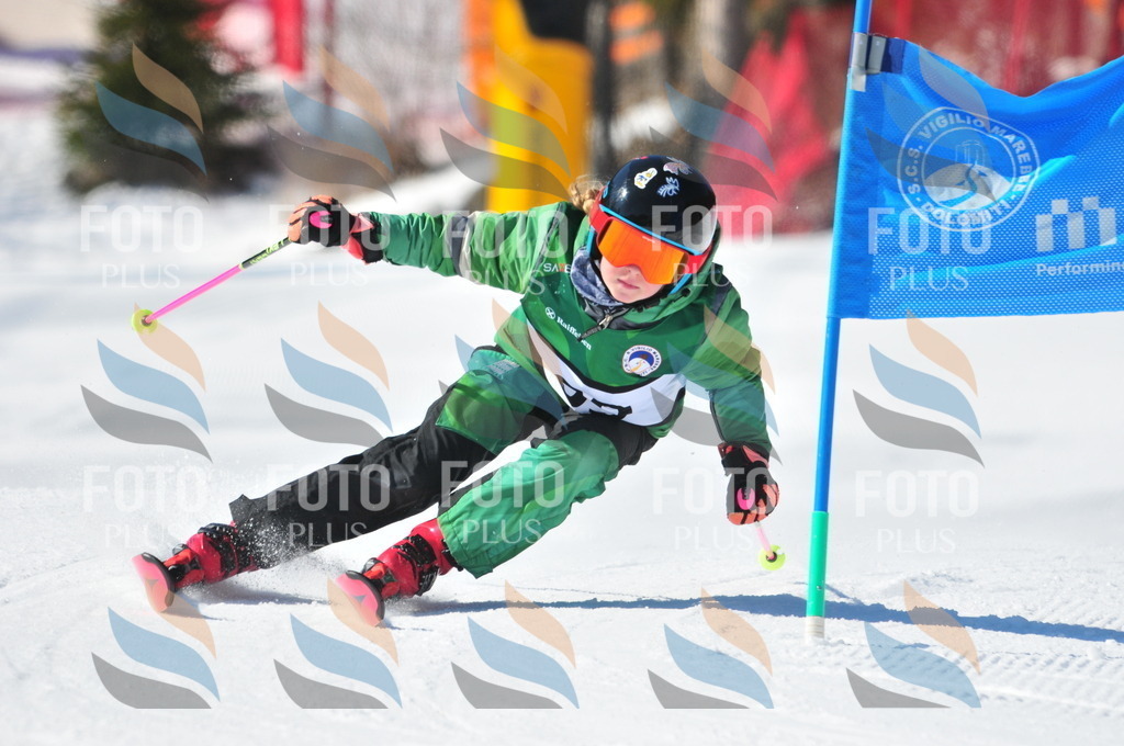 C2273 | holidayphoto