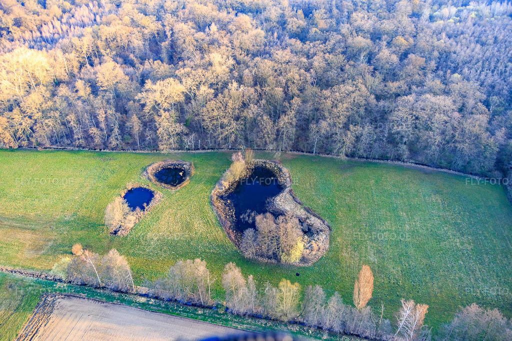 Luftbild: Biotop am Altbach im Winter im Ortsteil Minderslachen in Kandel im Bundesland Rheinland-Pfalz in Deutschland. Foto: IMG_076785.jpg vom 28.03.2015 durch Werner Riehm/FLY-FOTO.de